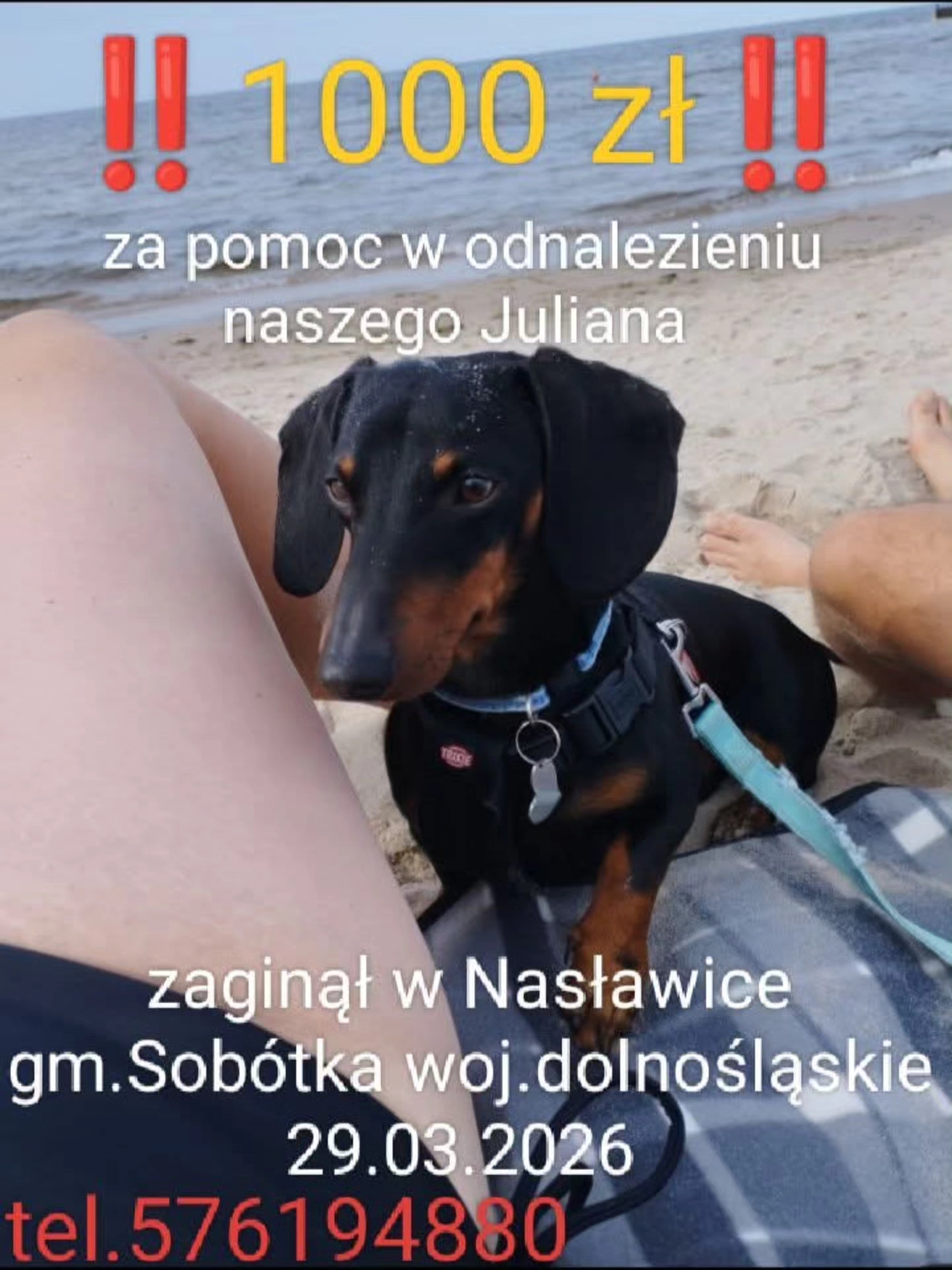 683110917 1407624078067681 3030457574473789103 n